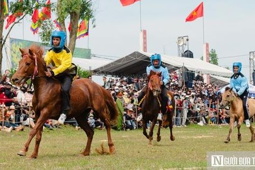 Nông dân Đắk Lắk hóa 'kỵ sĩ', ngựa thồ thành chiến mã tại lễ đua Gò Thì Thùng