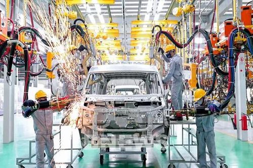 Tỷ phú Trần Bá Dương muốn sản xuất ô tô thương hiệu riêng