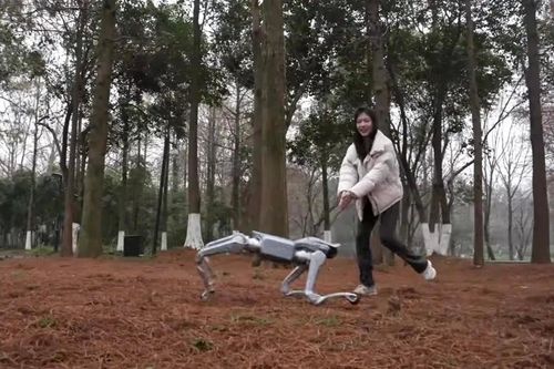 Trung Quốc giới thiệu robot chó có thể chơi quần vợt