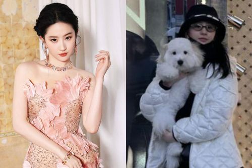 Lưu Diệc Phi để mặt mộc khi đăng ảnh 'sống ảo', nhan sắc hiện tại được khen trẻ như gái đôi mươi