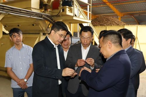 Phó Bí thư Thường trực Tỉnh ủy Nguyễn Hồng Phong dự lễ ra quân sản xuất đầu năm và làm việc tại xã Tân Thành