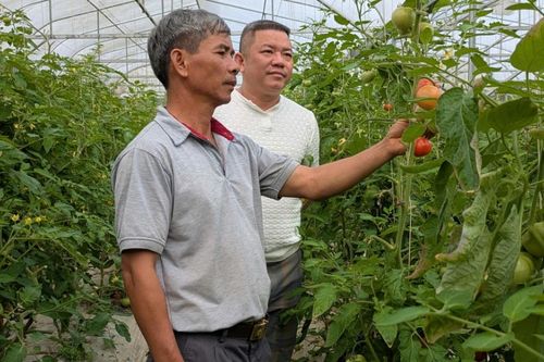 Thanh Hóa: Khi ruộng đồng ở Hoằng Hóa 'bắt sóng' công nghệ