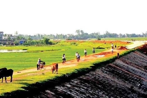 Tháng Giêng xanh những dịu dàng