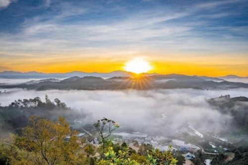 Măng Đen: Chạm tay vào biển mây bồng bềnh và những trải nghiệm đại ngàn kỳ thú