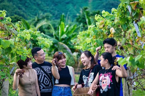 Hướng đi bền vững từ phát triển sản phẩm OCOP gắn với du lịch