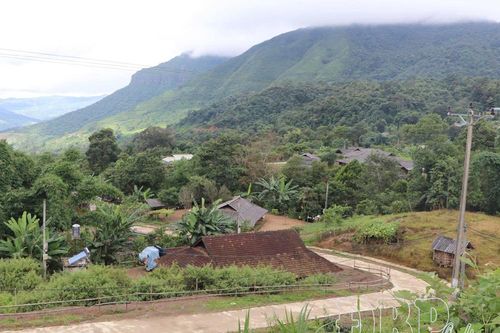 Những cung đường xuân