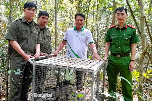 Khắp nơi trong tỉnh ngày 25-2-2026
