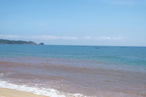 Xác định nguyên nhân nước biển ở Hoài Nhơn Bắc đổi màu
