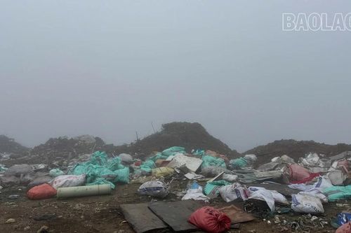 Phường Sa Pa cần quyết liệt xử lý bãi rác tự phát