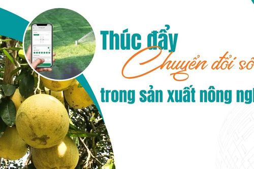 Thúc đẩy chuyển đổi số trong sản xuất nông nghiệp