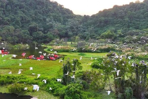 Ninh Bình: Khám phá Thung Nham - Vườn chim tự nhiên lớn nhất miền Bắc giữa lòng di sản