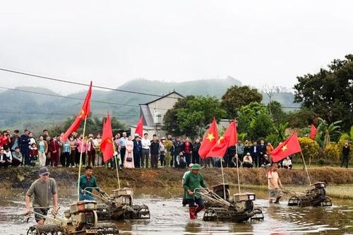 Rộn ràng khí thế lao động sản xuất nông nghiệp đầu Xuân mới