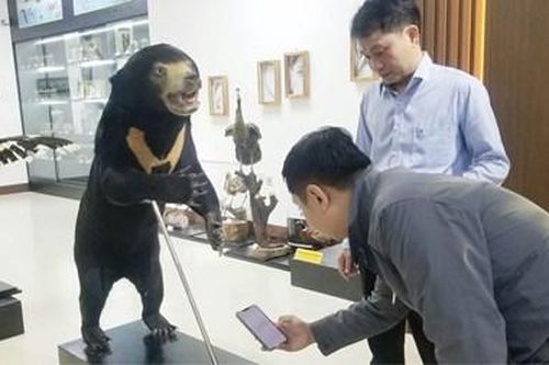 'Đánh thức' bảo tàng thiên nhiên bằng công nghệ số