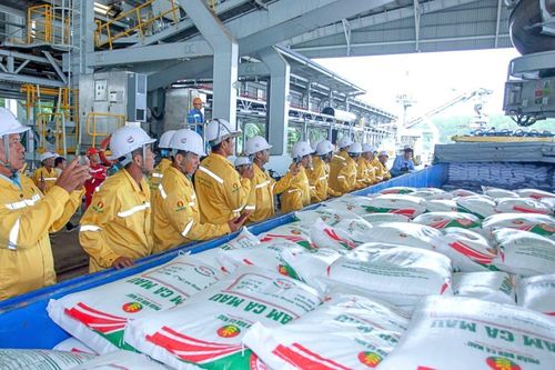 Đạm Cà Mau (DCM): Xuất khẩu lô hàng đầu tiên sang Hoa Kỳ, sản lượng xuất khẩu quý 1 tăng 25%