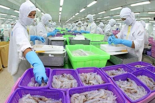 Thực phẩm Sao Ta (FMC): Đón tin vui đầu năm, lợi nhuận 2025 có thể điều chỉnh tăng gấp đôi