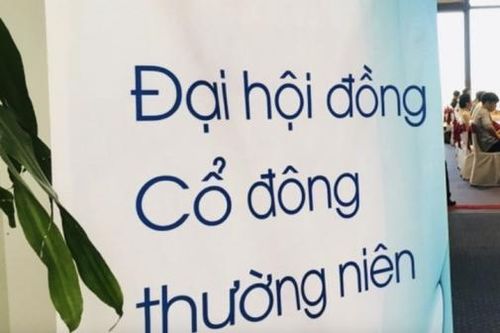 Doanh nghiệp bảo hiểm khởi động mùa đại hội, dồn dập lên lịch họp cổ đông