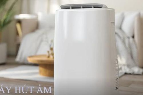 Nồm ẩm âm thầm bào mòn không gian sống: Hiểu đúng cơ chế máy hút ẩm để chọn công suất phù hợp