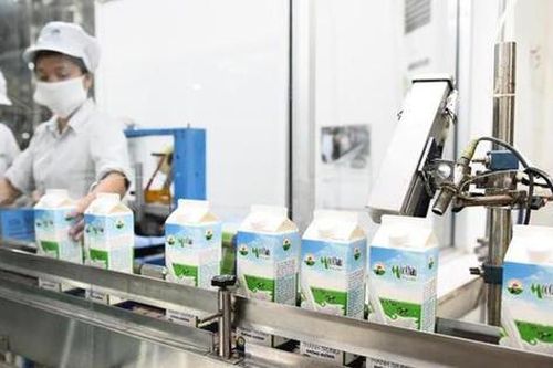 Mộc Châu Milk (MCM) tồn đọng hơn 633 tỷ đồng vốn huy động, lợi nhuận năm 2025 đi lùi