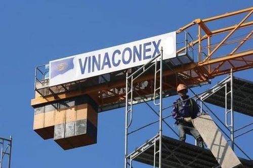 Vinaconex (VCG) báo lãi đột biến nhờ thoái vốn, thay 'tướng' ngay trước thềm đại hội cổ đông 2026