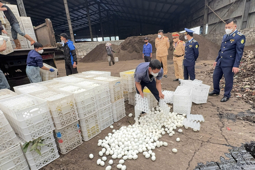 Tiêu hủy gần 29.000 quả trứng vịt lộn không rõ nguồn gốc trong dịp Tết