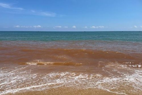 Nước biển ở Gia Lai đổi màu có nguy hiểm không?
