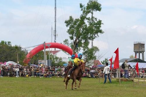 Hàng ngàn người dân thích thú xem nông dân trổ tài đua ngựa