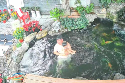 Võng đứt, 2 bố con ngã xuống hồ cá Koi trăm triệu gây thót tim
