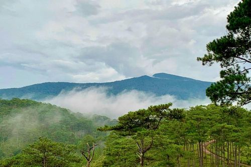 Vườn Quốc gia Bidoup – Núi Bà, điểm du lịch sinh thái rừng không thể bỏ qua trên Cao nguyên Lang Biang