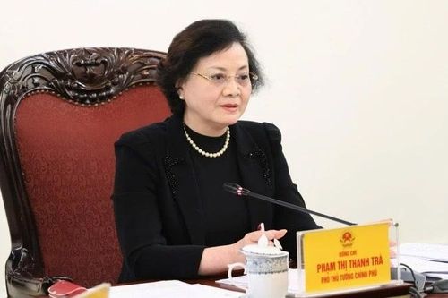 Phó Thủ tướng Phạm Thị Thanh Trà chủ trì cuộc họp xây dựng dự thảo Nghị định về quản lý người đại diện vốn nhà nước