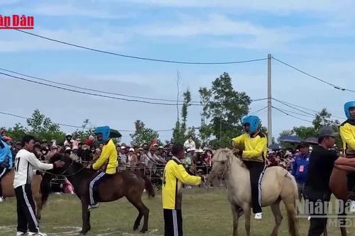 Sôi động hội đua ngựa gò Thì Thùng đầu Xuân Bính Ngọ