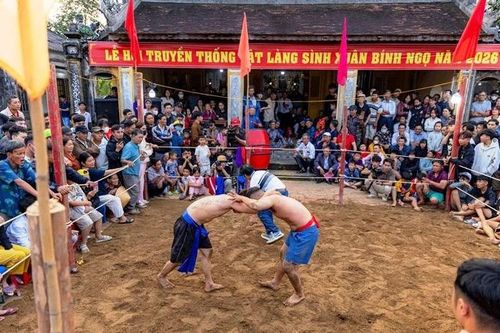 Sôi động hội vật làng Sình đầu xuân Bính Ngọ