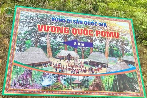 Kiểm tra công tác chuẩn bị tổ chức Lễ hội 'Khai năm Tạ ơn rừng 2026' tại xã biên giới Hùng Sơn