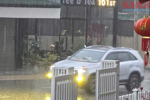 Lâm Đồng xuất hiện 'mưa vàng' trên diện rộng
