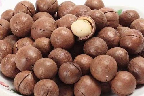 'Kho báu' dinh dưỡng ẩn sau lớp vỏ cứng của macca