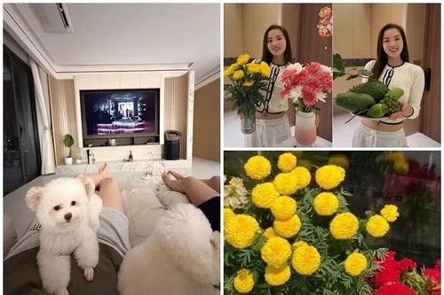 Cận cảnh cơ ngơi mới đầy phong cách của Hoa hậu Kỳ Duyên