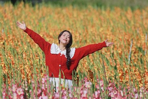 Lỡ mùa Tết, cánh đồng hoa lay ơn bên đèo Mimosa bất ngờ thành điểm sống ảo