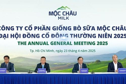 Công ty Cổ phần Giống Bò sữa Mộc Châu (MCM) tồn đọng hơn 633 tỷ đồng vốn huy động sau 5 năm, lợi nhuận 2025 chỉ đạt 72,8% kế hoạch