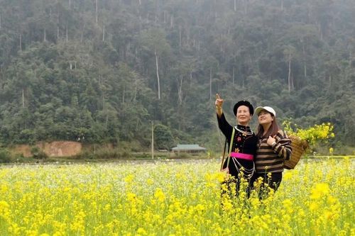 Du khách nô nức check-in ở thung lũng hoa cải vàng