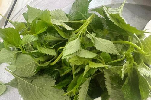 Top các loại gia vị giúp cơ quan tiêu hóa khỏe mạnh sau Tết