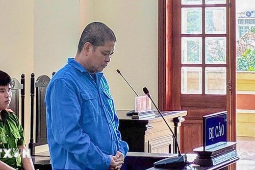 Cần Thơ: Phạt tù 'cò lúa' lừa tiền của thương lái