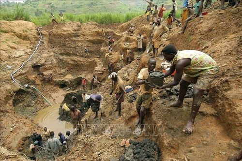 Cơ hội 20 tỷ USD từ cải tổ ngành vàng ở Ghana