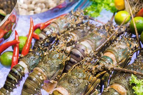 Tôm hùm xanh Việt Nam 'đắc lợi' giữa cơn khát hải sản cao cấp của Trung Quốc
