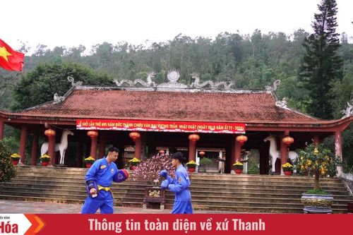 Tinh hoa võ Việt
