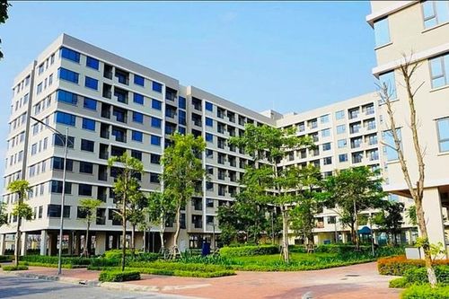 Triển khai thực hiện Nghị định số 54/2026/NĐ-CP trong lĩnh vực nhà ở, kinh doanh bất động sản