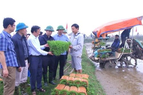 Xuân Cẩm: Sôi nổi Ngày hội xuống đồng