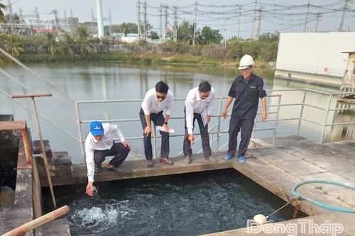 Đồng Tháp: Vận hành 10 giếng khoan dự phòng phục vụ cấp nước sinh hoạt mùa khô năm 2025 - 2026