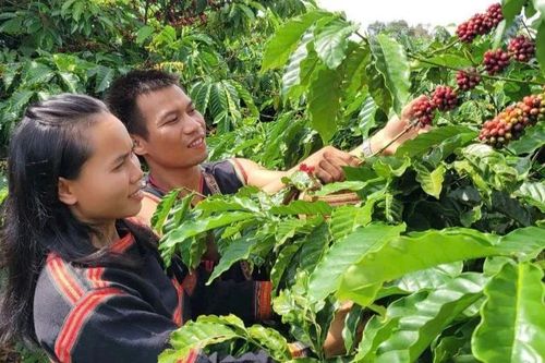 Ia Phí đẩy mạnh phát triển nông nghiệp công nghệ cao