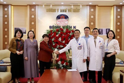 Nhóm nữ đại biểu Quốc hội Việt Nam thăm, chúc mừng một số bệnh viện tại Hà Nội