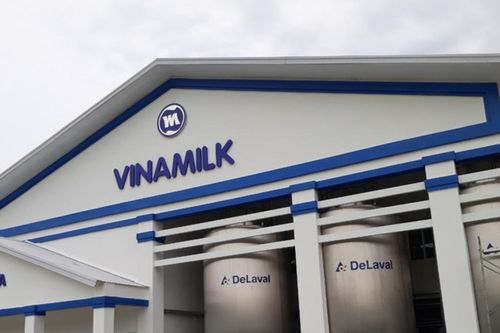 Lợi nhuận quý IV tăng 33%, vì sao cổ phiếu VNM vẫn bị khuyến nghị trung lập?