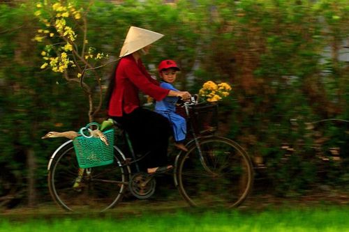 Mùa Xuân của Mẹ